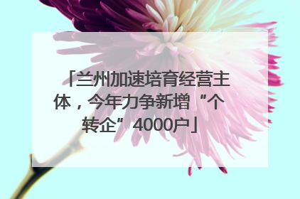 兰州加速培育经营主体，今年力争新增“个转企”4000户
