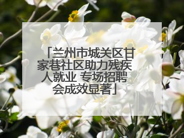 兰州市城关区甘家巷社区助力残疾人就业 专场招聘会成效显著