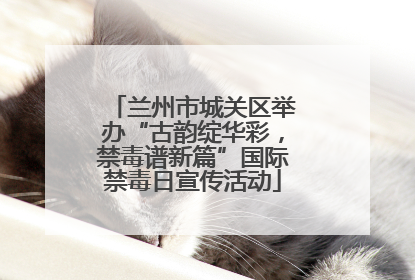 兰州市城关区举办“古韵绽华彩，禁毒谱新篇”国际禁毒日宣传活动