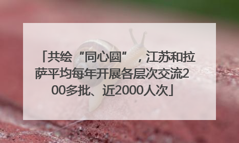 共绘“同心圆”，江苏和拉萨平均每年开展各层次交流200多批、近2000人次