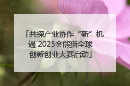 共探产业协作“新”机遇 2025金熊猫全球创新创业大赛启动