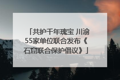 共护千年瑰宝 川渝55家单位联合发布《石窟联合保护倡议》