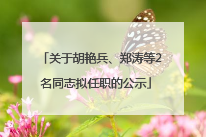 关于胡艳兵、郑涛等2名同志拟任职的公示