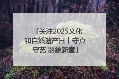 关注2025文化和自然遗产日丨守真守艺 器象新章
