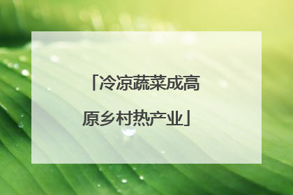 冷凉蔬菜成高原乡村热产业