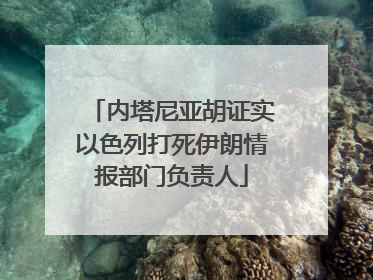 内塔尼亚胡证实以色列打死伊朗情报部门负责人