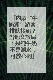 内蒙“牛奶湖”游客排队接奶？当地文旅局：是纯牛奶不是湖水，可放心喝