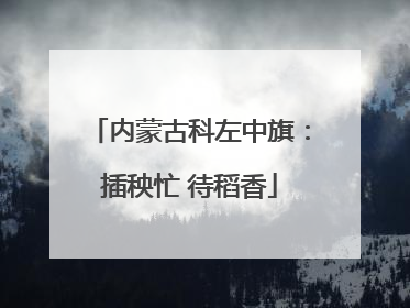 内蒙古科左中旗：插秧忙 待稻香