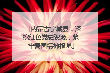 内蒙古宁城县：深挖红色党史资源，筑牢爱国精神根基