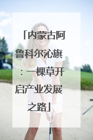 内蒙古阿鲁科尔沁旗：一棵草开启产业发展之路