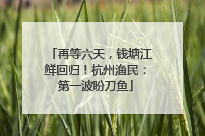 再等六天，钱塘江鲜回归！杭州渔民：第一波盼刀鱼