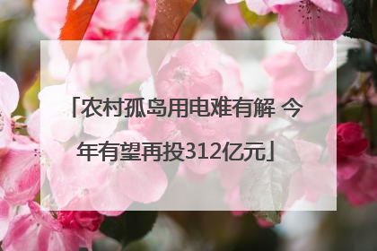 农村孤岛用电难有解 今年有望再投312亿元
