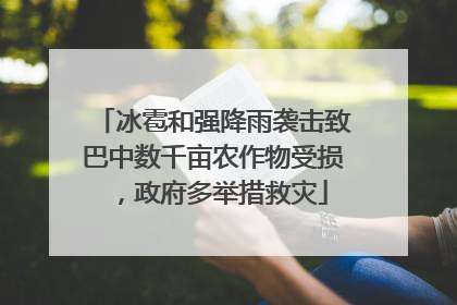 冰雹和强降雨袭击致巴中数千亩农作物受损，政府多举措救灾