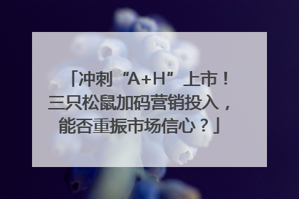 冲刺“A+H”上市！三只松鼠加码营销投入，能否重振市场信心？