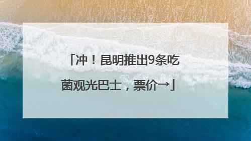 冲！昆明推出9条吃菌观光巴士，票价→