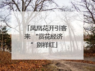 凤凰花开引客来 “赏花经济”别样红