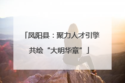 凤阳县：聚力人才引擎 共绘“大明华章”