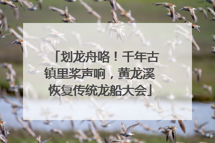 划龙舟咯！千年古镇里桨声响，黄龙溪恢复传统龙船大会