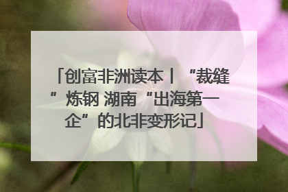 创富非洲读本丨“裁缝”炼钢 湖南“出海第一企”的北非变形记