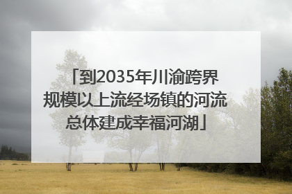 到2035年川渝跨界规模以上流经场镇的河流总体建成幸福河湖