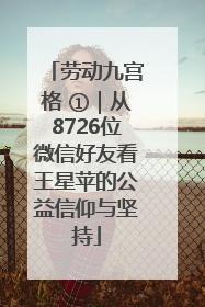 劳动九宫格 ①｜从8726位微信好友看王星苹的公益信仰与坚持