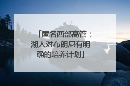 匿名西部高管：湖人对布朗尼有明确的培养计划