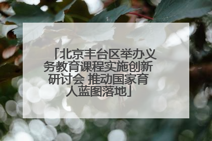 北京丰台区举办义务教育课程实施创新研讨会 推动国家育人蓝图落地