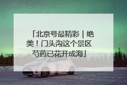 北京号最精彩｜绝美！门头沟这个景区芍药已花开成海
