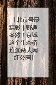 北京号最精彩｜野趣盎然！京城这个生态桥连通两大网红公园