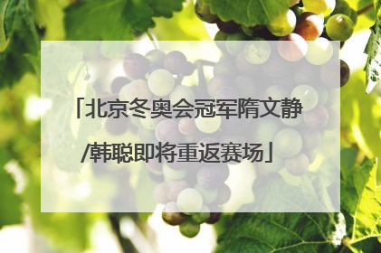 北京冬奥会冠军隋文静/韩聪即将重返赛场