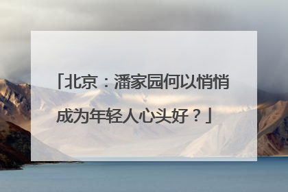北京：潘家园何以悄悄成为年轻人心头好？