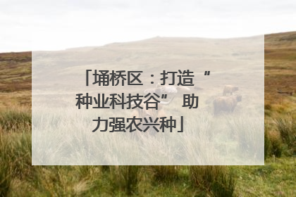 埇桥区：打造“种业科技谷” 助力强农兴种