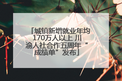 城镇新增就业年均170万人以上 川渝人社合作五周年“成绩单”发布
