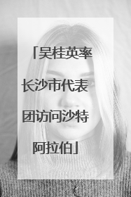 吴桂英率长沙市代表团访问沙特阿拉伯