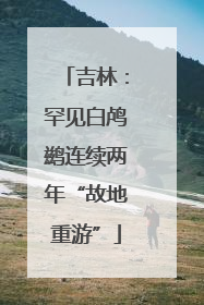 吉林：罕见白鸬鹚连续两年“故地重游”