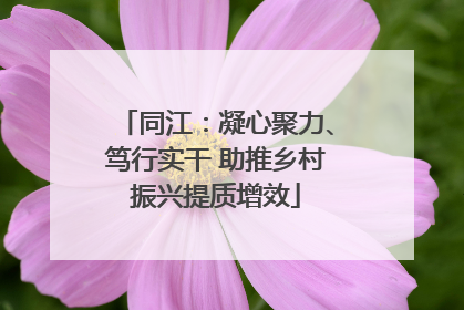 同江：凝心聚力、笃行实干 助推乡村振兴提质增效