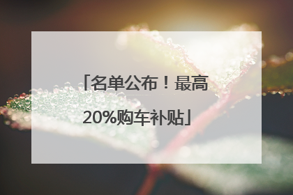 名单公布！最高20%购车补贴