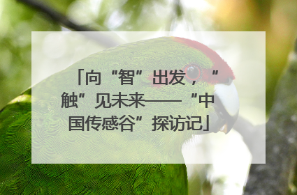 向“智”出发，“触”见未来——“中国传感谷”探访记