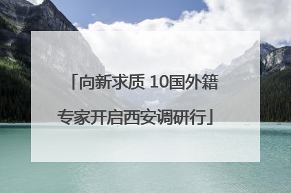 向新求质 10国外籍专家开启西安调研行