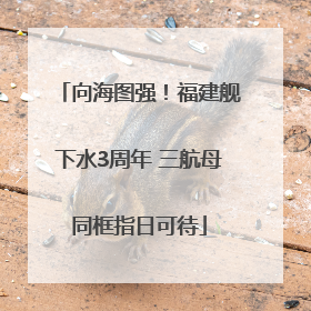 向海图强！福建舰下水3周年 三航母同框指日可待