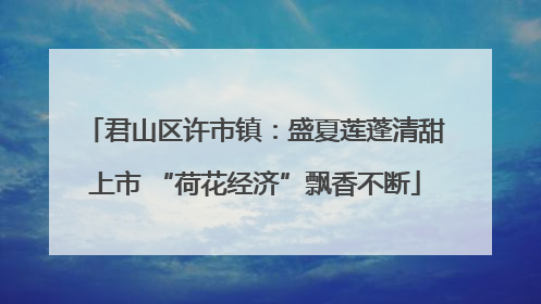 君山区许市镇：盛夏莲蓬清甜上市 “荷花经济”飘香不断