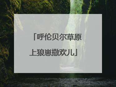 呼伦贝尔草原上狼崽撒欢儿