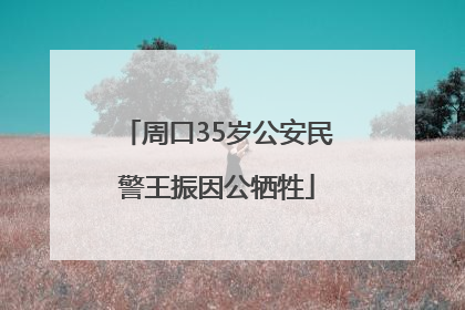 周口35岁公安民警王振因公牺牲