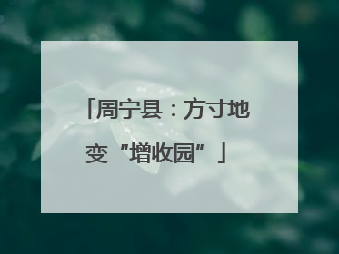 周宁县：方寸地变“增收园”