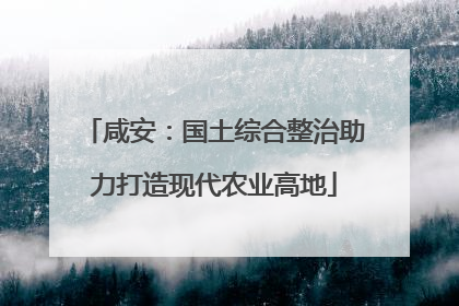 咸安：国土综合整治助力打造现代农业高地
