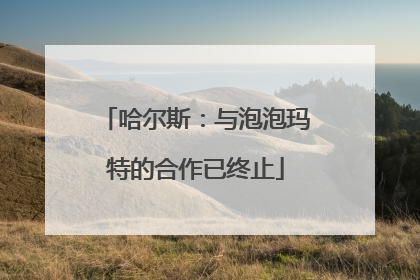 哈尔斯：与泡泡玛特的合作已终止