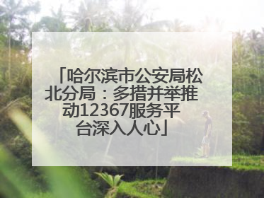 哈尔滨市公安局松北分局：多措并举推动12367服务平台深入人心