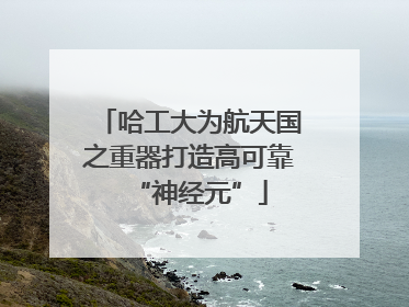 哈工大为航天国之重器打造高可靠“神经元”
