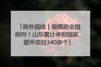商务视线｜规模居全国前列！山东累计承担国家援外项目340多个