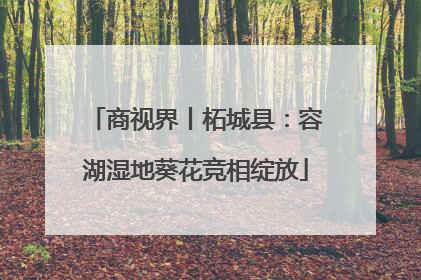 商视界丨柘城县：容湖湿地葵花竞相绽放